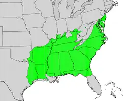 Areál rozšíření