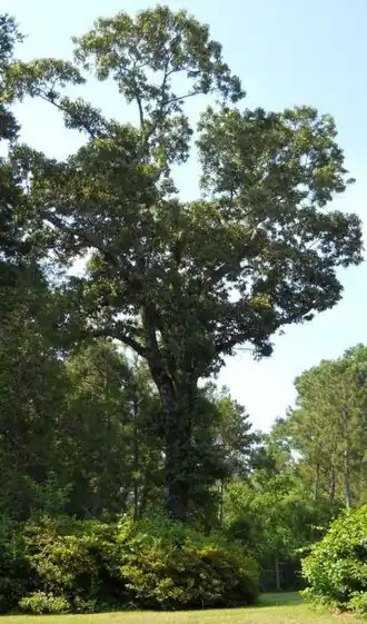 alternativní popis obrázku chybí