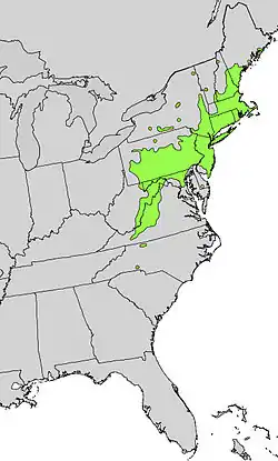 Areál rozšíření