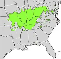 Areál rozšíření