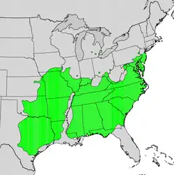 Areál rozšíření