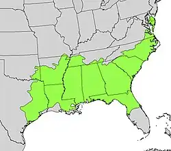 Areál rozšíření