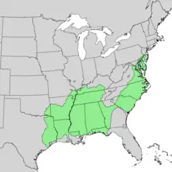 Areál rozšíření