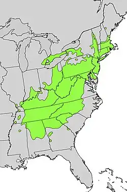 Areál rozšíření