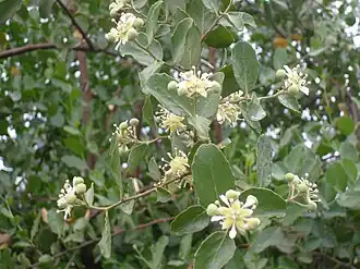 alternativní popis obrázku chybí