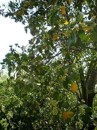 alternativní popis obrázku chybí