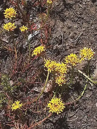 alternativní popis obrázku chybí