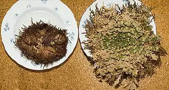 alternativní popis obrázku chybí