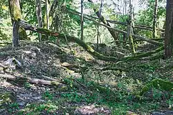 Pozůstatky zaniklé osady