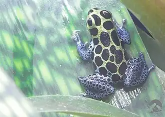 alternativní popis obrázku chybí