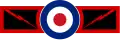 Perutní varianta leteckého výsostného znaku RAF