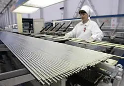 Výroba palivových článků v Novosibirsku