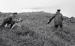 „Narušitel překračuje hranici.“ Pohraniční stráž a služební pes během cvičení zadržují „narušitele“ hranice. Rusko, Kamčatská oblast