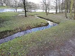 Meandrující Cibulecký potok před svým vyústěním do rybníka (jaro 2021)
