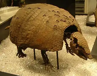 alternativní popis obrázku chybí