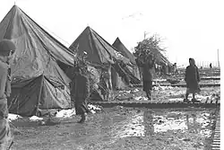 Uprchlíci z Jemenu, 1950