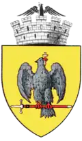 Curtea de Argeș – znak