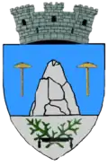 Slănic – znak