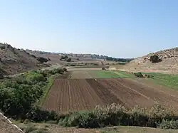 Údolí podél Nachal Cipori