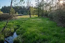 Rašeliniště Pelé 1.května z hráze