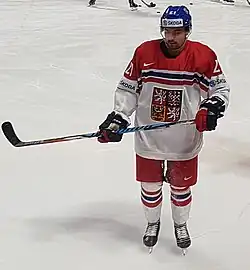Radek Koblízek v 2016