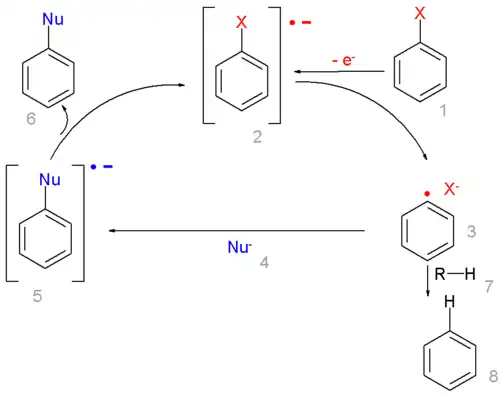 Mechanismus radikálově-nukleofilní aromatické substituce