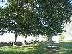 Odpočinkové zákoutí s lavičkou