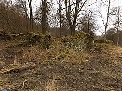 zřícenina Radmühle u Telcova