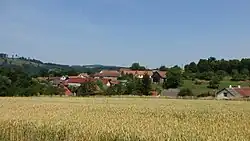 Radonice ze silnice na Zdebuzeves