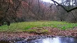 V údolí je velmi dobře zachovalá říční niva