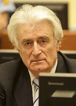 Radovan Karadžić před tribunálem v roce 2016