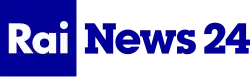 Rai News 24 - Logo 2013