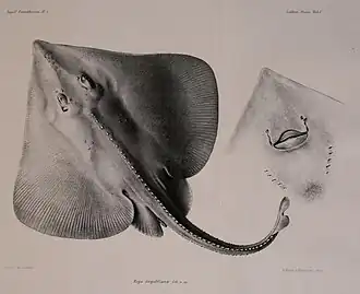 popis obrázku chybí