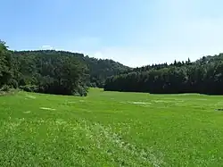 Louky Rakoveckého údolí