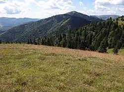 Skalná Alpa, Tanečnica, Rakytov