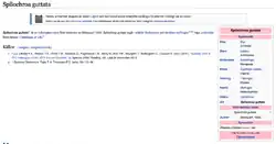 Náhodný Lsjbotův článek