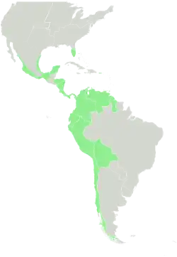 Areál rozšíření