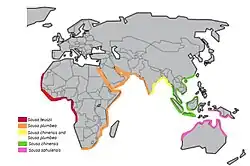 Areál rozšíření jednotlivých druhů rodu Sousa