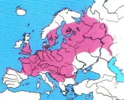 Areál rozšíření