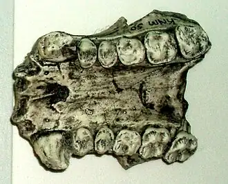 alternativní popis obrázku chybí