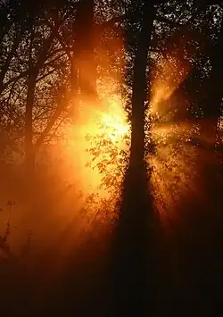 Ranní probouzení (Otrokovice)