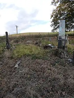 Pohled na Ranoš z Bývalého německého hřbitova v Kozlově