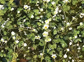 alternativní popis obrázku chybí