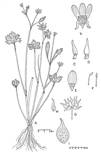 alternativní popis obrázku chybí
