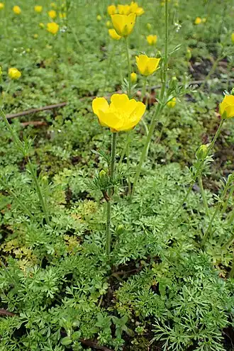 popis obrázku chybí