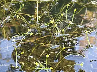 alternativní popis obrázku chybí