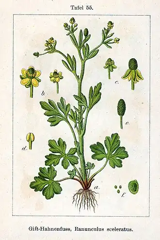 alternativní popis obrázku chybí