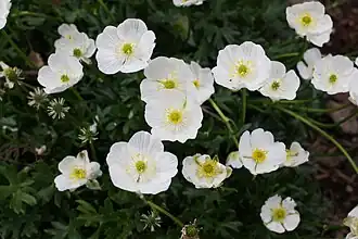 alternativní popis obrázku chybí