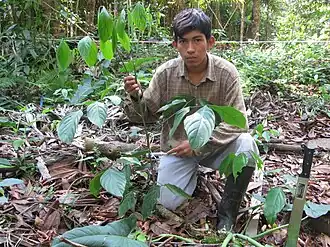 alternativní popis obrázku chybí