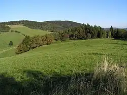 Rašovské sedlo s Javorníkem